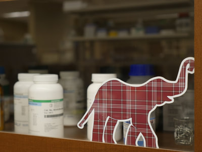lab chemicals and the CHESter logo.
